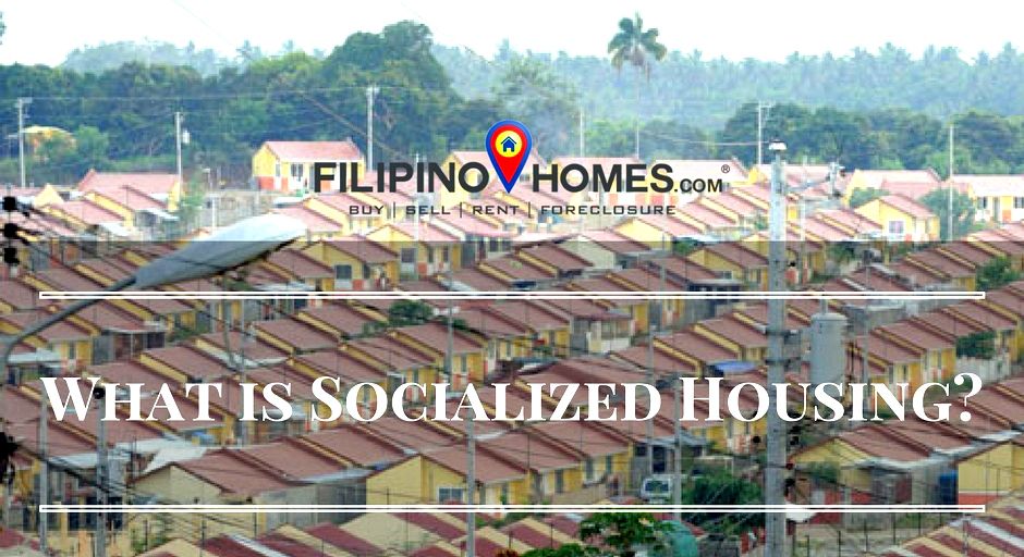 What is Socialized Housing?